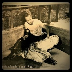 Vintage Reptile Jungle Photo Postcard